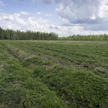 Hyvällä suunnittelulla parannetaan metsitettävän alueen virkistyskäyttö-, luonto- ja maisema-arvoja.