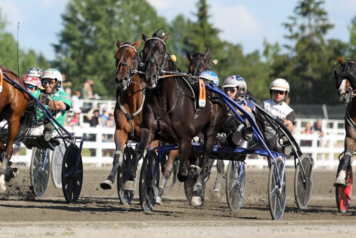 Janne Korpi ohjasti Run For Royaltyn Suur-Hollola-ajon voittoon vuonna 2022.