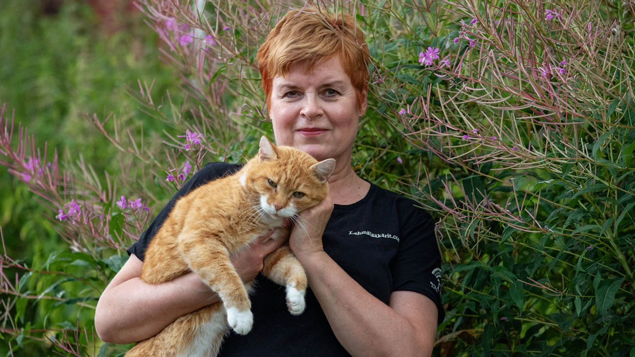 Eläinlääkäri Mervi Yli-Hynnilä näkee työssään säilörehun säilöntälaadun ja lehmien terveyden välisen yhteyden.