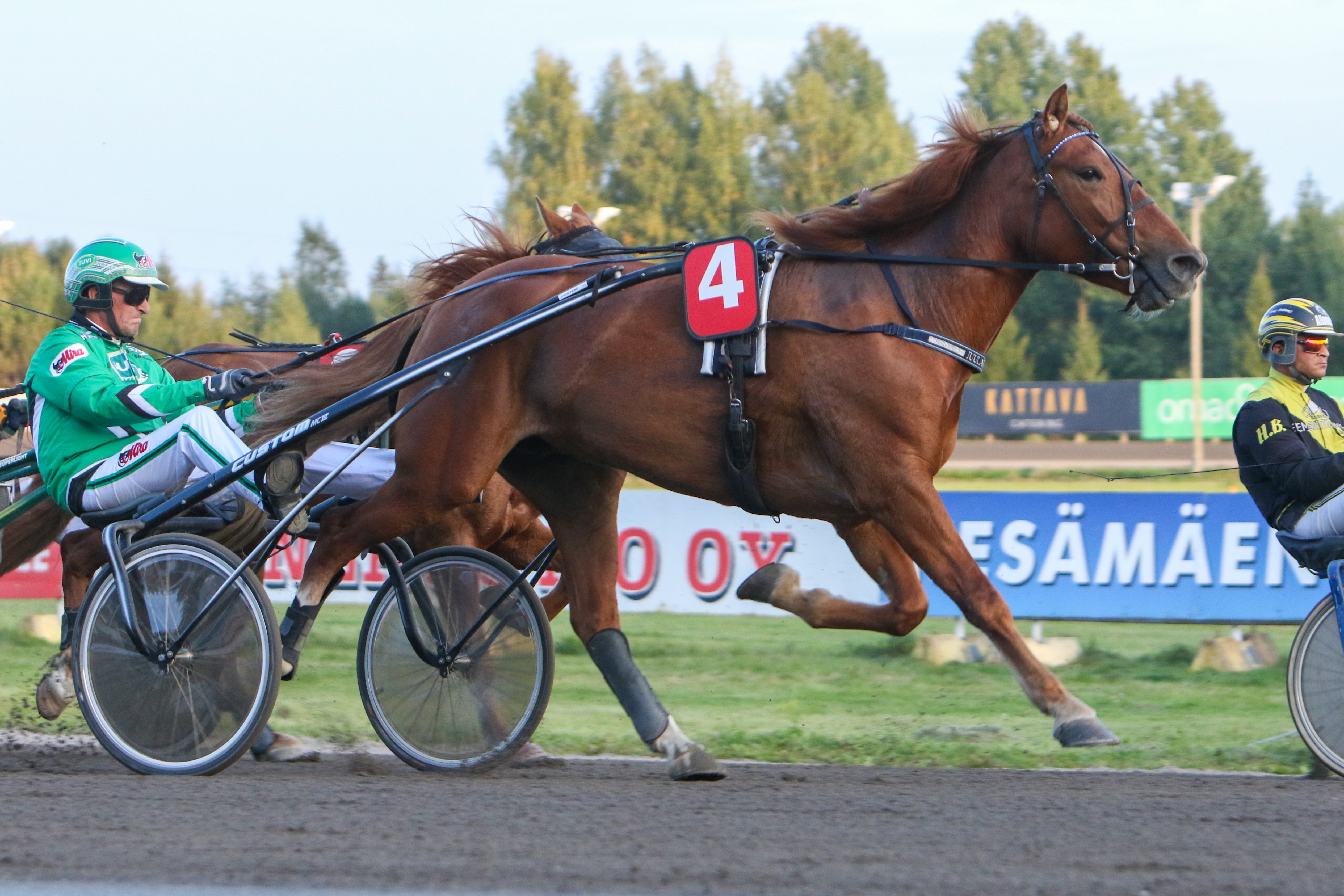 65-varma Juulia Domna saa keskiviikkon rattailleen Tommi Kylliäisen. Arkistokuvassa ohjissa on Ari Moilanen.