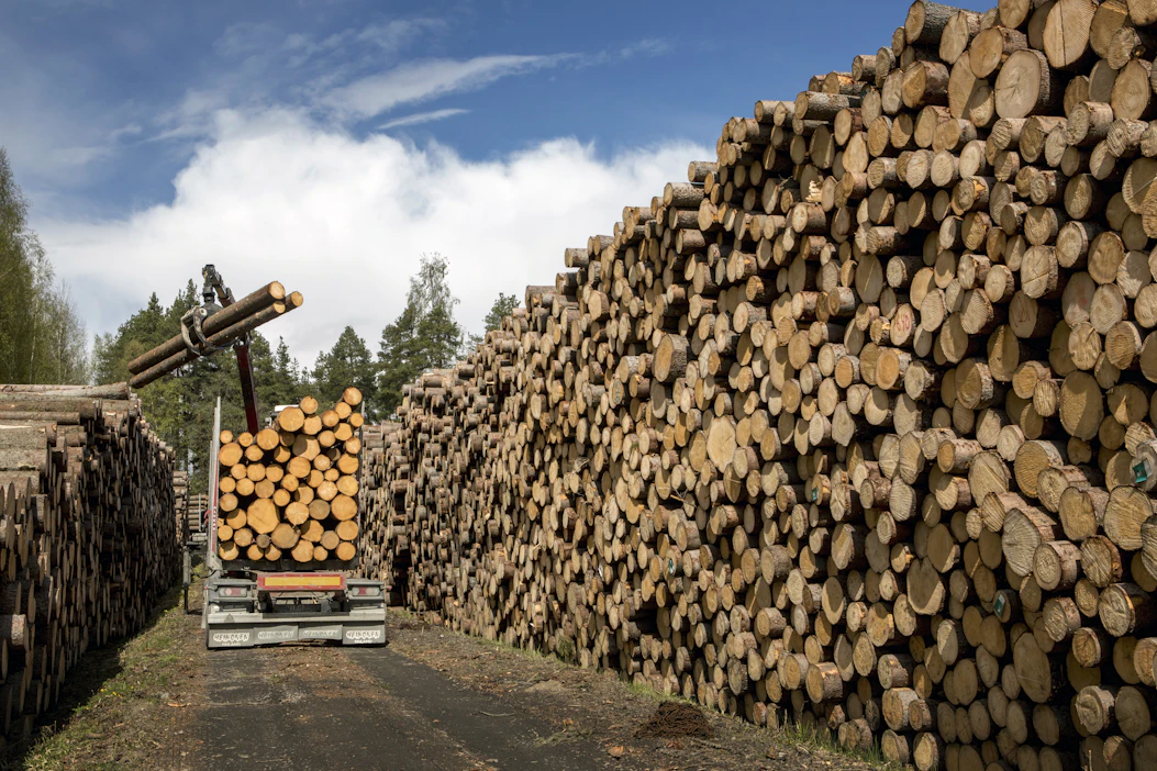 Sahateollisuuden jalostama puumäärä nousi viime vuonna kymmenen prosenttia 30,4 miljoonaan kuutiometriin, mikä oli yli kolmannes kaikesta kulutetusta raakapuusta, Luonnonvarakeskus (Luke) kertoo.
