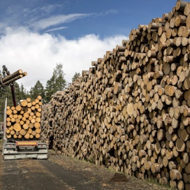 Sahateollisuuden jalostama puumäärä nousi viime vuonna kymmenen prosenttia 30,4 miljoonaan kuutiometriin, mikä oli yli kolmannes kaikesta kulutetusta raakapuusta, Luonnonvarakeskus (Luke) kertoo.