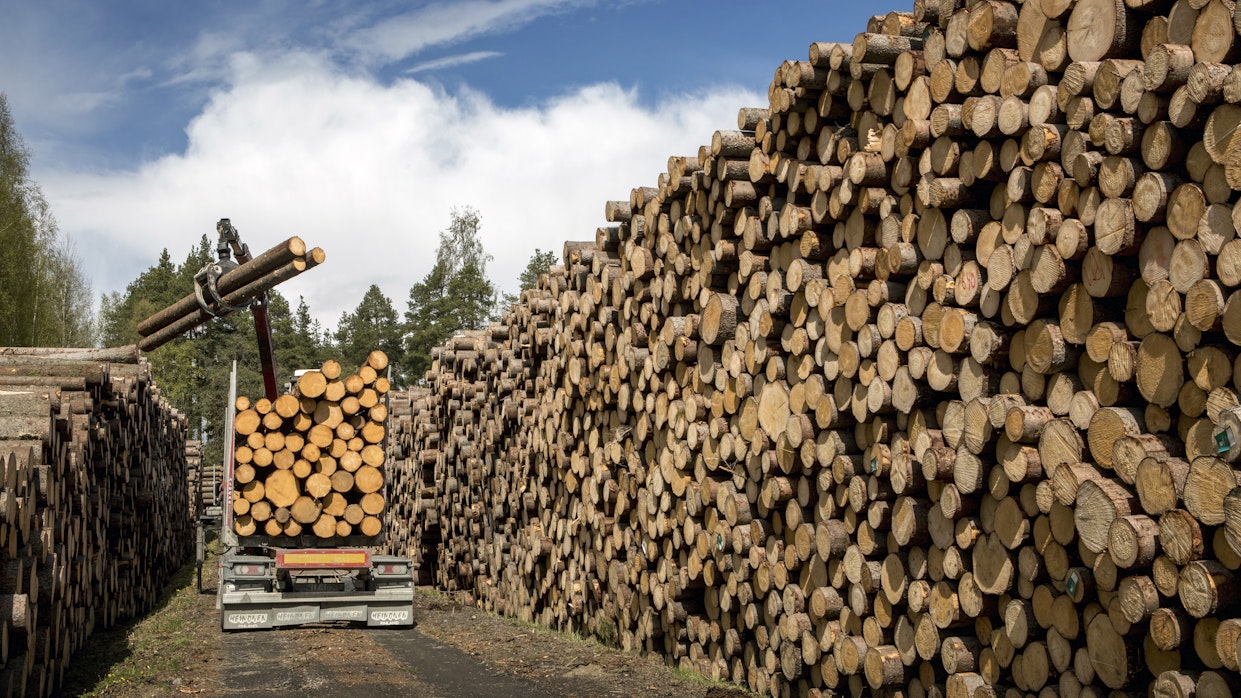 Sahateollisuuden jalostama puumäärä nousi viime vuonna kymmenen prosenttia 30,4 miljoonaan kuutiometriin, mikä oli yli kolmannes kaikesta kulutetusta raakapuusta, Luonnonvarakeskus (Luke) kertoo.