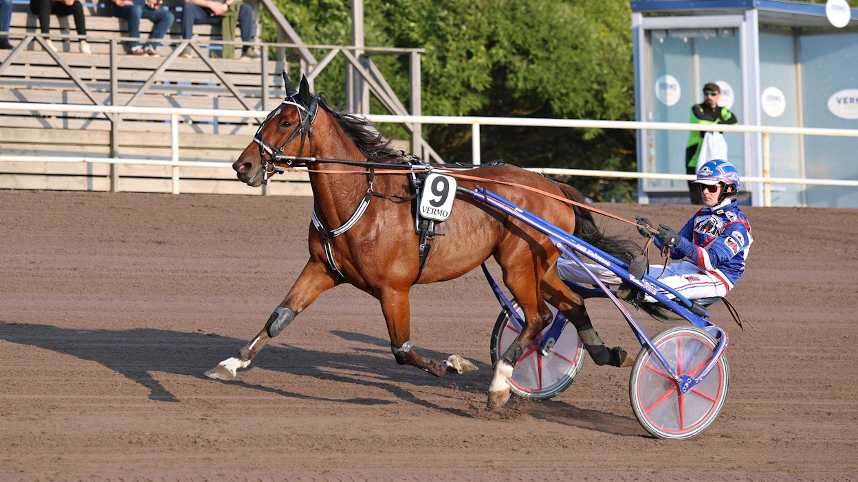 John Hoss on Maharajahin poika. Uran numerot ovat 24 starttia totosijoin 3-6-2. Ruuna on juossut mailin aikaan 14,6 ja tienestit radoilta ovat 15 370€.
