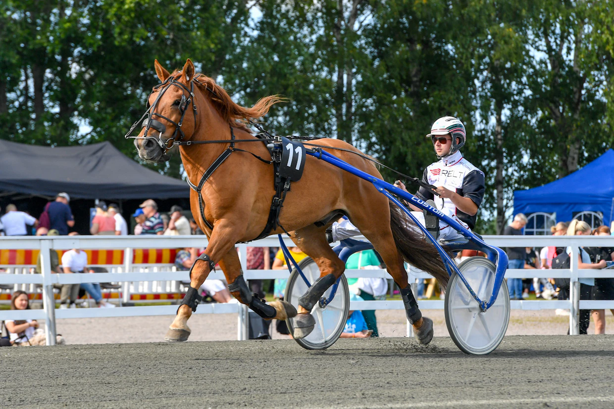 Siirin Veeti on voittanut urallaan jo kolme T75-finaalia. Ossi Nurmonen toivoo suojattinsa ottavan neljännen finaalivoiton Vermon Finlandia-viikonloppuna.