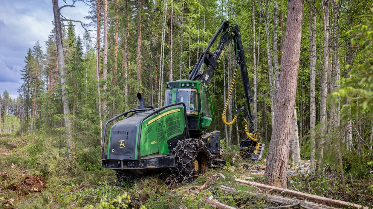 Alueelliset metsäohjelmat antavat suuntaa metsän käytölle tulevalle viisivuotiskaudelle.