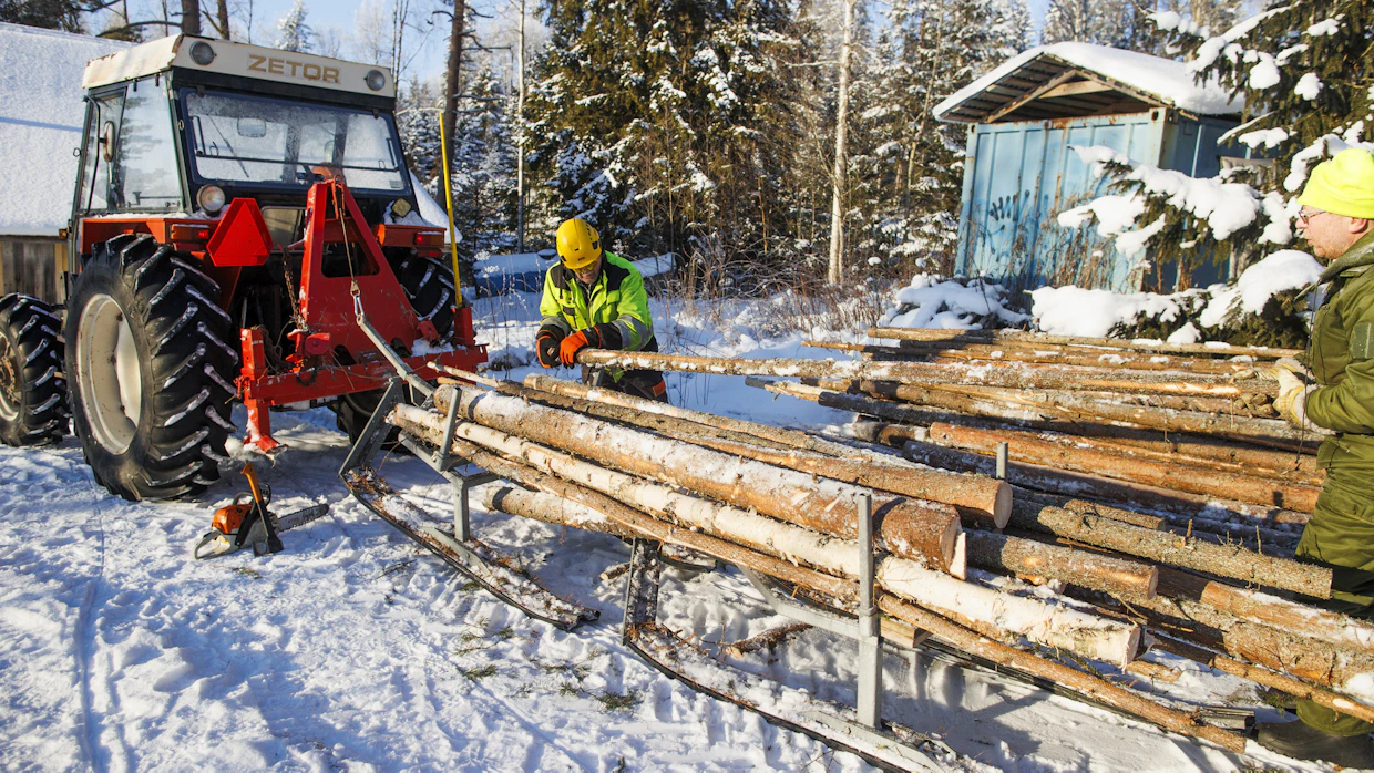 Kelkalla ei ollut metsään asiaa, mutta vinssin vetämällä kelkkareellä rankojen ajo jotenkin sujui.