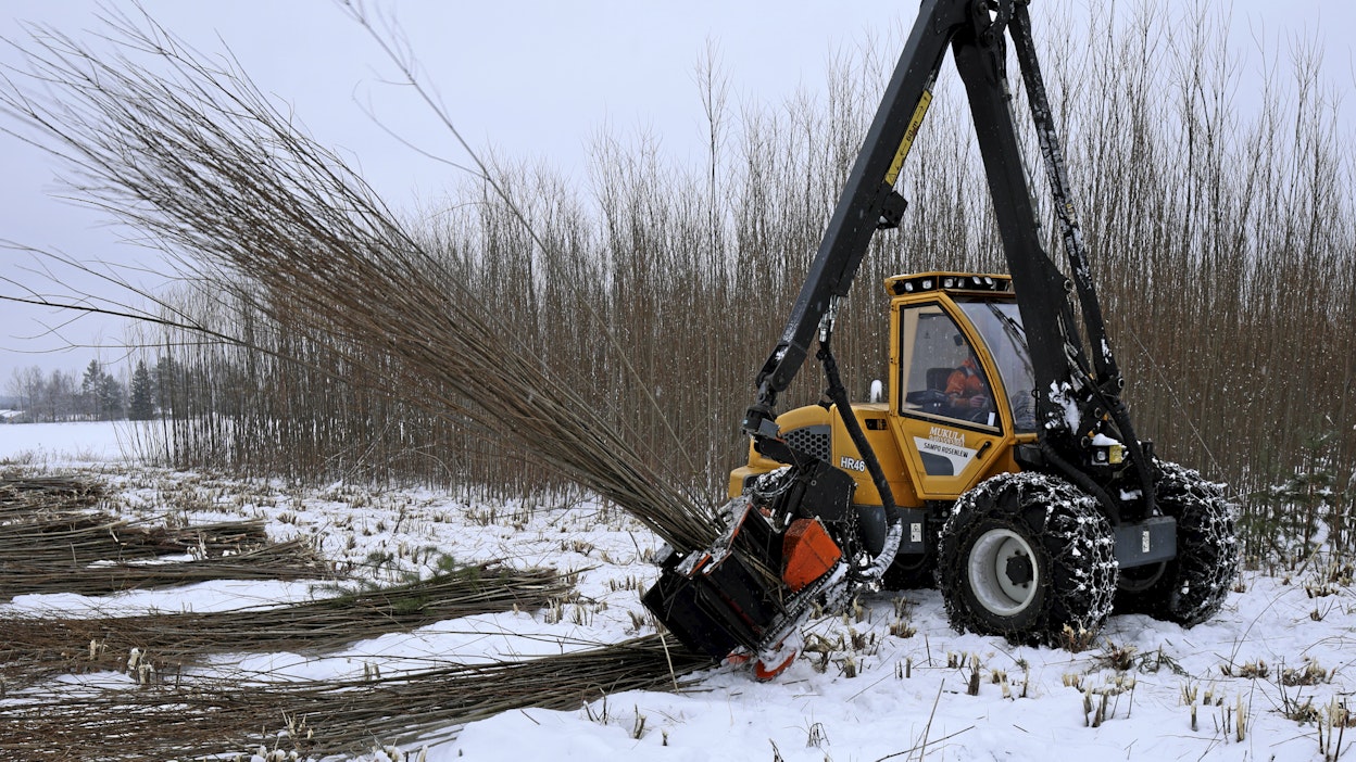 Ensimmäinen pienempi Risupeto on asennettu kevyeen harvesterialustaan. Pienempi versio painaa vain 600 kiloa, eli alle puolet siitä, mitä järeämmät versiot painavat.