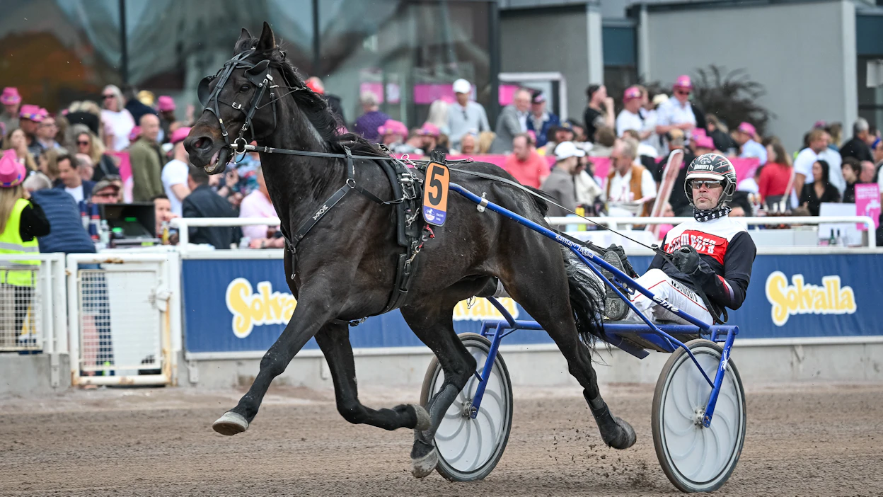Highlight Bogeyman hankki Vermon divisioonavoitolla paikan Solvallan finaaleihin. Elitloppet-viikonloppuna ruunaa ohjasti Vermon voittostartin tapaan Mika Forss.
