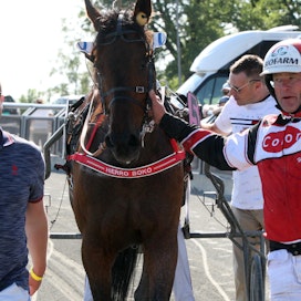 Toni Sarkama ja Hannu Korpi saattelivat Hierro Bokon voittajaesittelyyn. Kuvassa oikealla hevosen uusi osaomistaja Eero Salokangas.