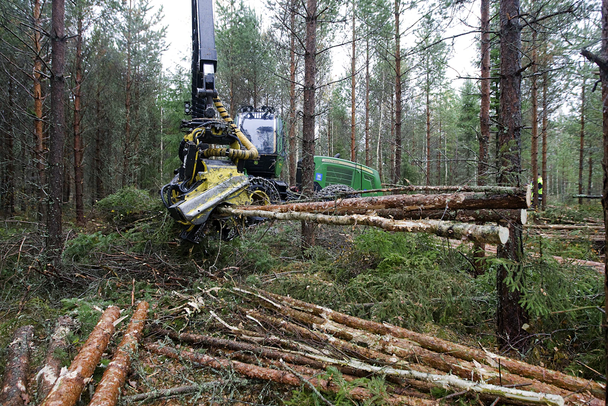 Nopeasti nousseet polttoainekustannukset ovat ajaneet yrityksiä äärirajoille.