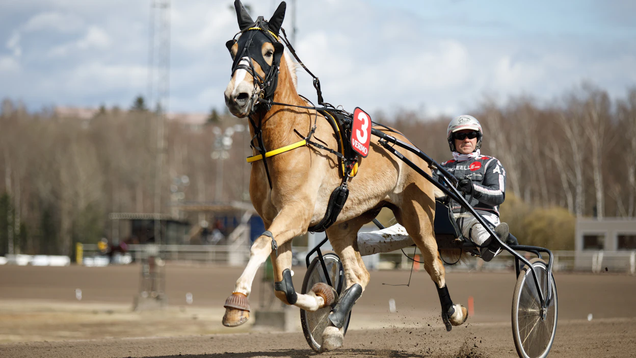 Elan on yksi voitontavoittelijoista avauskohteessa. Antti Teivainen ohjastaa Mika Mäkelän valmentamaa hevosta.