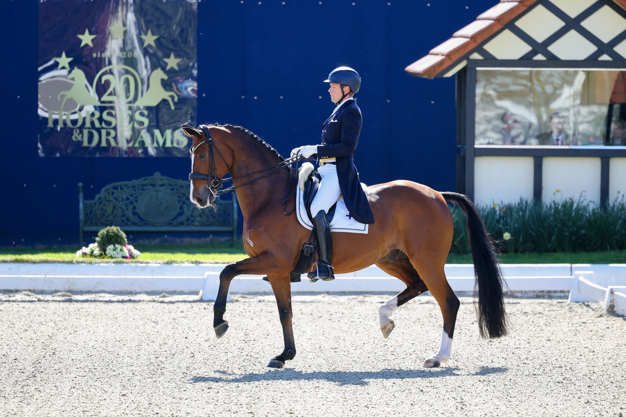 Henri Ruosteen uusi kilparatsu on 10-vuotias ruuna DeLaurentis.
