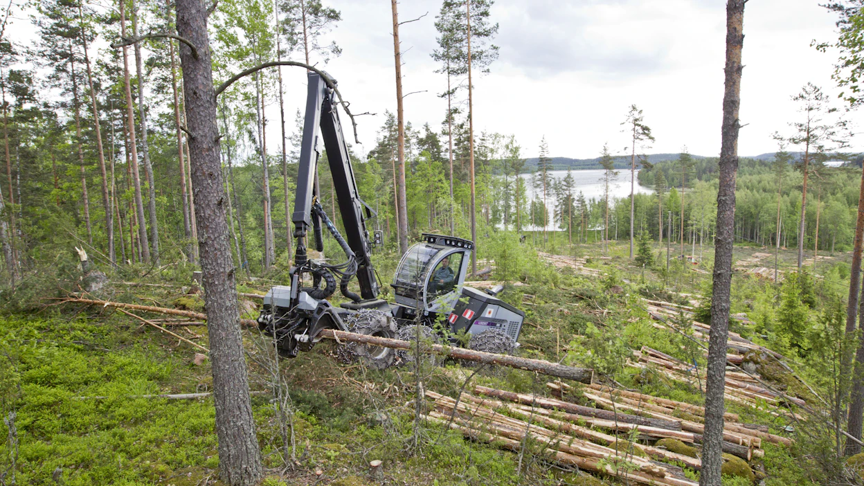 Nykymetsätalous-valinnassa metsien hoitoa jatkettaisiin nykyisillä hoitotavoilla, hakkuumäärillä ja puulajeilla. Tämä vaihtoehto tuotti ruotsalaisissa SKA22-laskelmissa vuoden 2060 jälkeen suurimman vuotuisen hiilensidonnan.