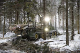 Etelä-Suomessa metsänpohjat eivät ole ehtineet jäätyä, sillä lämpötila on pysytellyt pitkään plussan puolella. Ajouria on havutettu harvennustyömaalla Hämeenlinnan Rengossa.