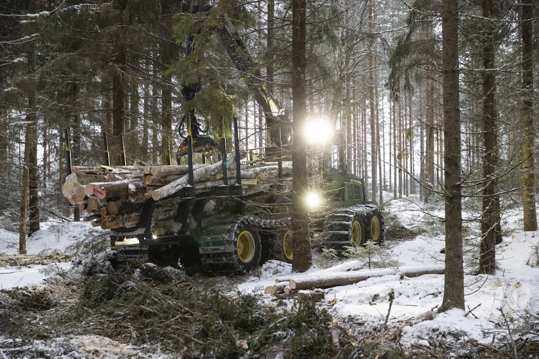 Etelä-Suomessa metsänpohjat eivät ole ehtineet jäätyä, sillä lämpötila on pysytellyt pitkään plussan puolella. Ajouria on havutettu harvennustyömaalla Hämeenlinnan Rengossa.