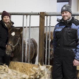 Marjo Parpala ja Juuso Jussila kertovat, että tilan hevosten ruokinta perustuu hyvälaatuiseen analysoituun heinään. 