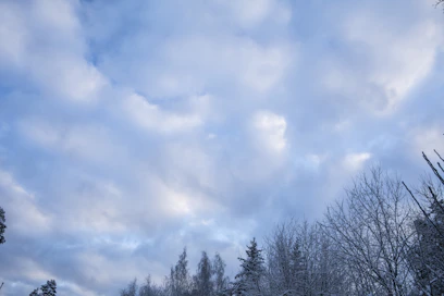 Maapallon ytimen pyörimisen vauhdin tai suunnan ei tiedetä vaikuttavan elämään maapallon päällä. 