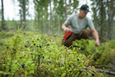 Kausityötä tekevien marjanpoimijoiden ei pidä maksaa mitään rekrytointiin tai matkustamiseen liittyviä kustannuksia itse, vaan niistä huolehtii aina työnantaja, Reilu kauppa muistuttaa.
