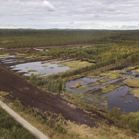 Maa- ja metsätalous tuottaa hiilinieluna aidosti nettohyötyä, kun Suomi ponnistelee kohti hiilineutraaliustavoitettaan 2035.