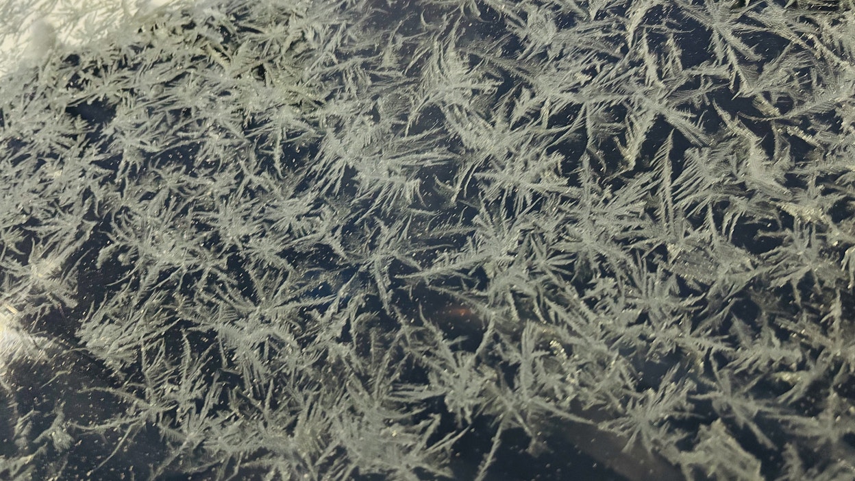 Alkuviikon sää on ennusteen mukaan puotainen.