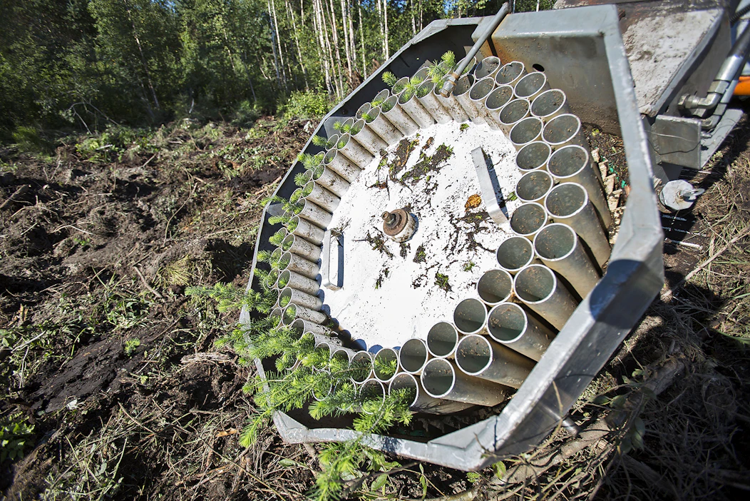 Koneellisessa istutuksessa taimet on aseteltu kasettiin, josta istutuspäällä varustettu kaivinkone istuttaa ne mättäisiin.