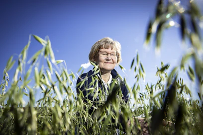Keskustelun eri jalostusmenetelmien käytöstä täytyy olla avointa, jotta ei syntyisi sellaisia huolia, joihin ei ole aihetta”, Merja Veteläinen sanoo.