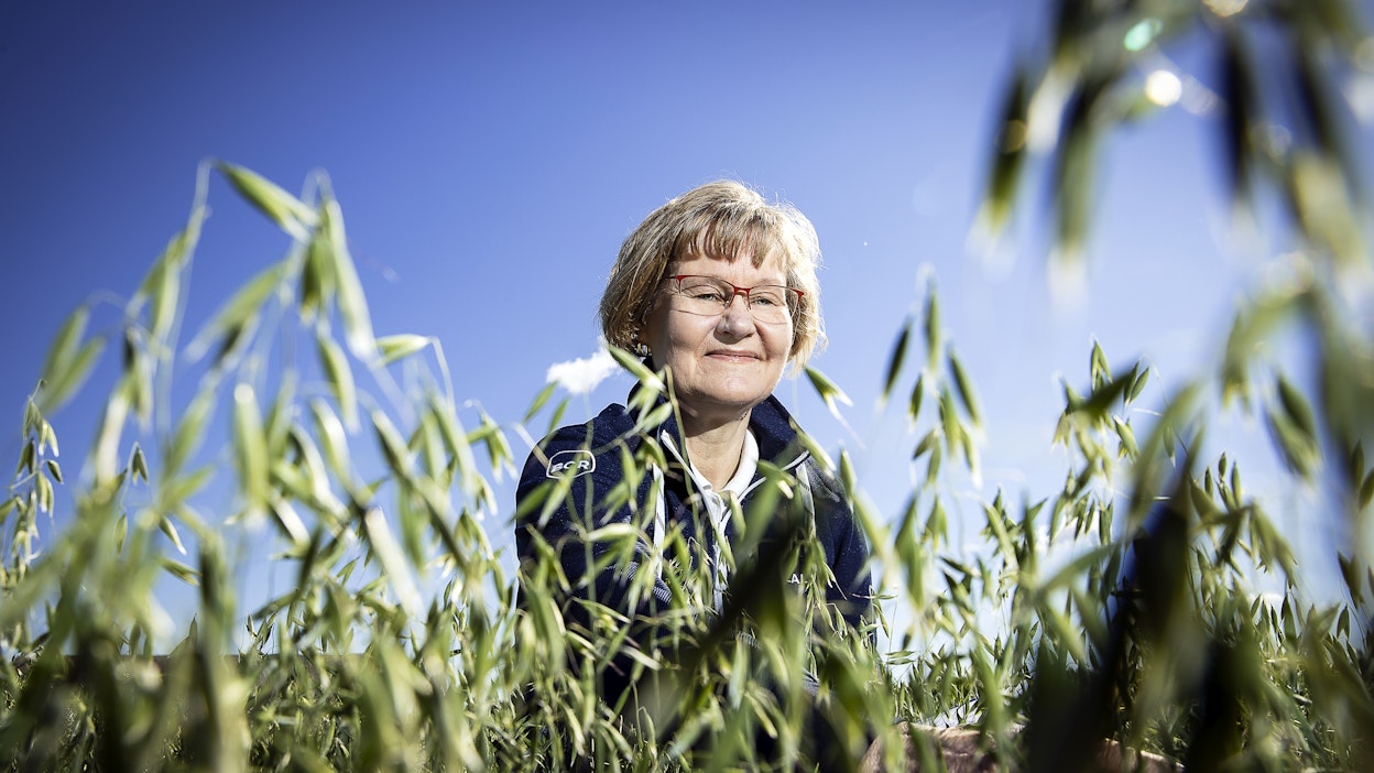 Keskustelun eri jalostusmenetelmien käytöstä täytyy olla avointa, jotta ei syntyisi sellaisia huolia, joihin ei ole aihetta”, Merja Veteläinen sanoo.