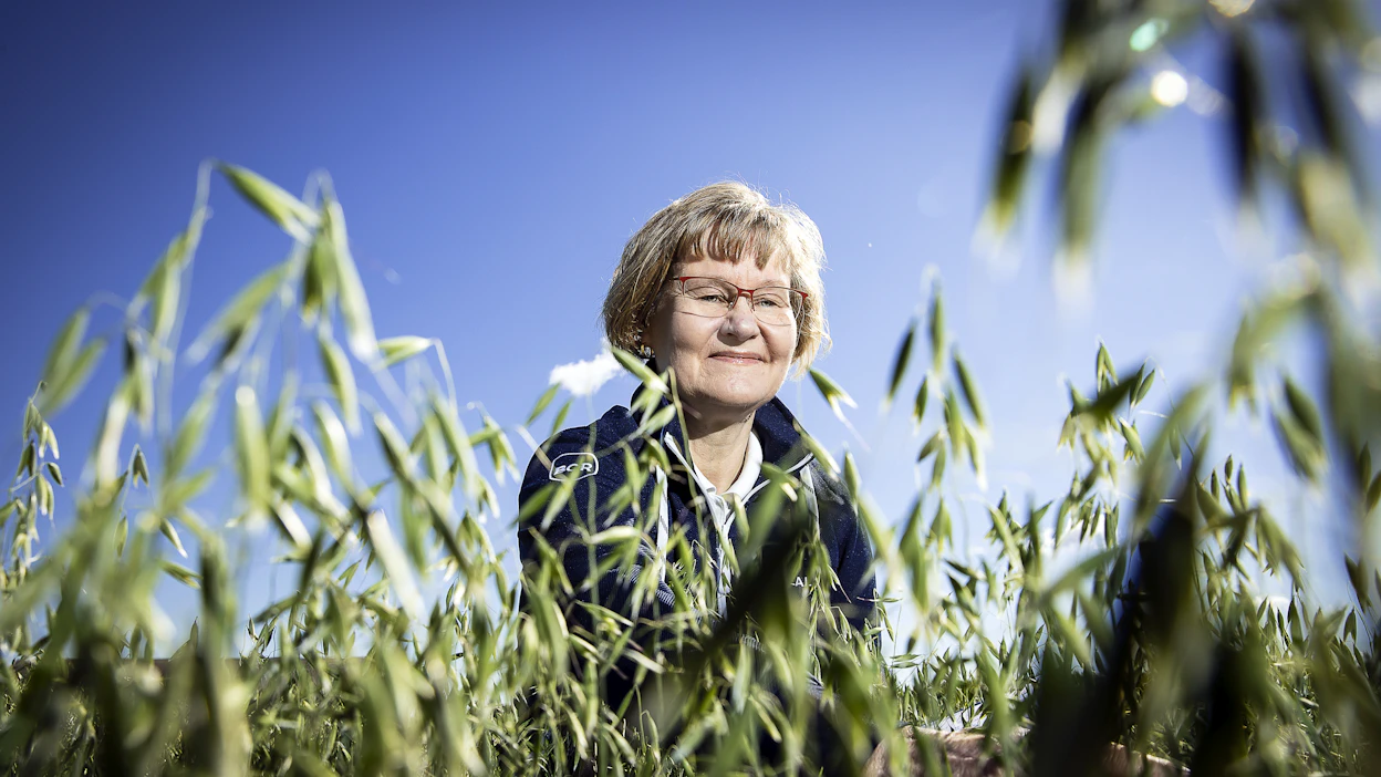 Keskustelun eri jalostusmenetelmien käytöstä täytyy olla avointa, jotta ei syntyisi sellaisia huolia, joihin ei ole aihetta”, Merja Veteläinen sanoo.