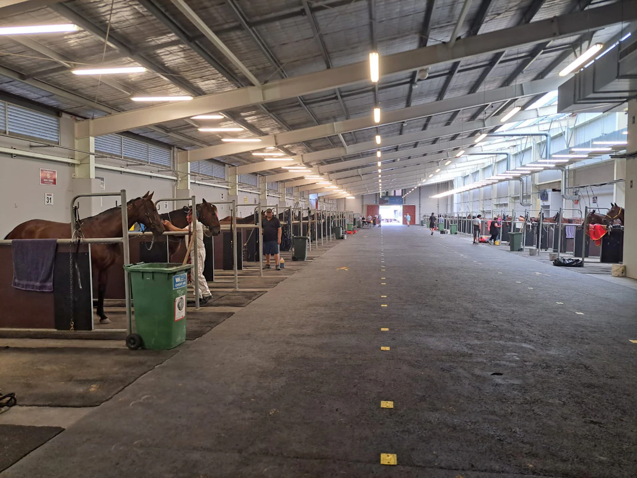 Addington Racewayn tallialue oli yhtä suurta sisätilaa. Avarassa hallissa oli hyvin tilaa ja toista sataa valjastuspaikkaa.