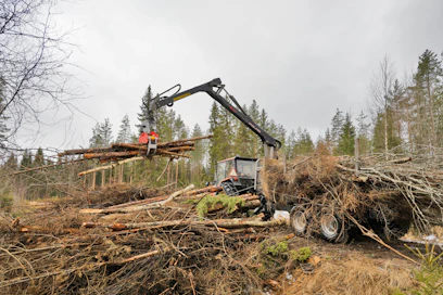Metsän tuomat tulot ovat erityisen tärkeitä viljelijöille.