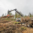 Metsän tuomat tulot ovat erityisen tärkeitä viljelijöille.