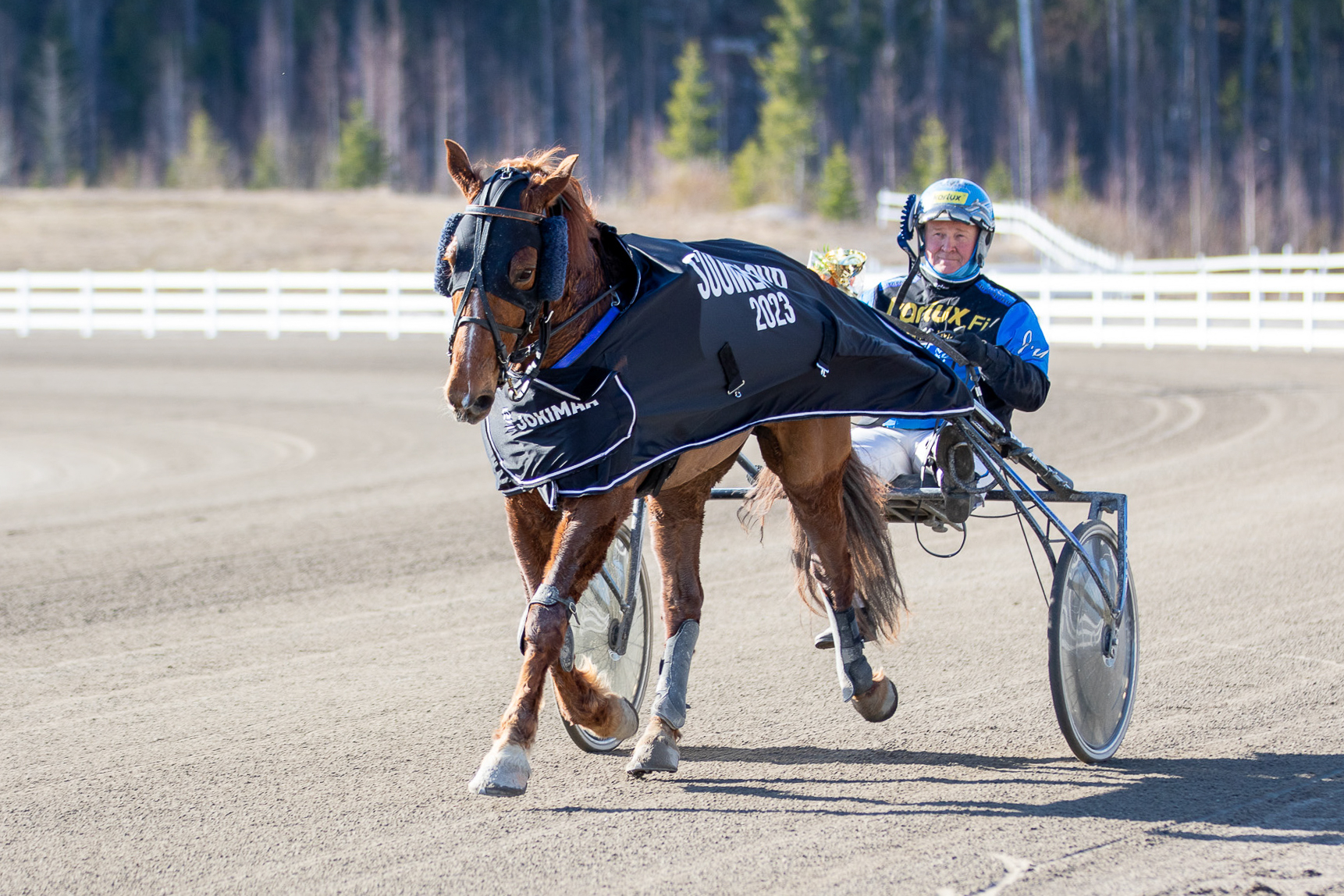 Viime vuonna Suomen Cupin finaalin voitti Juha Utalan ohjastama Morison. Valjakko on mukana lähdössä myös tänä vuonna.