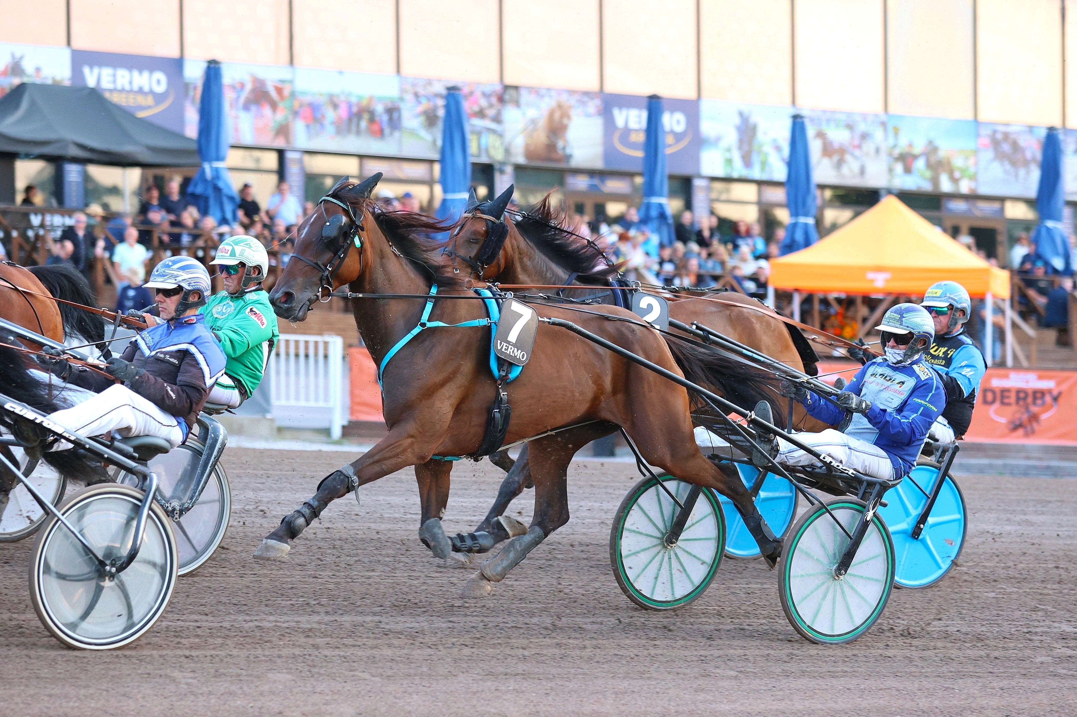 Rivin varma on viimeisessä kohdelähdössä juokseva Linden’s Kickup. Rattailla on kuvan Jarmo Saarelan sijaan Jukka Torvinen.