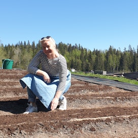 Annukka Toivanen on erikoistunut no dig -menetelmällä kasvatettaviin avomaan vihanneksiin.