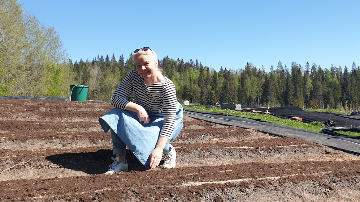Annukka Toivanen on erikoistunut no dig -menetelmällä kasvatettaviin avomaan vihanneksiin.