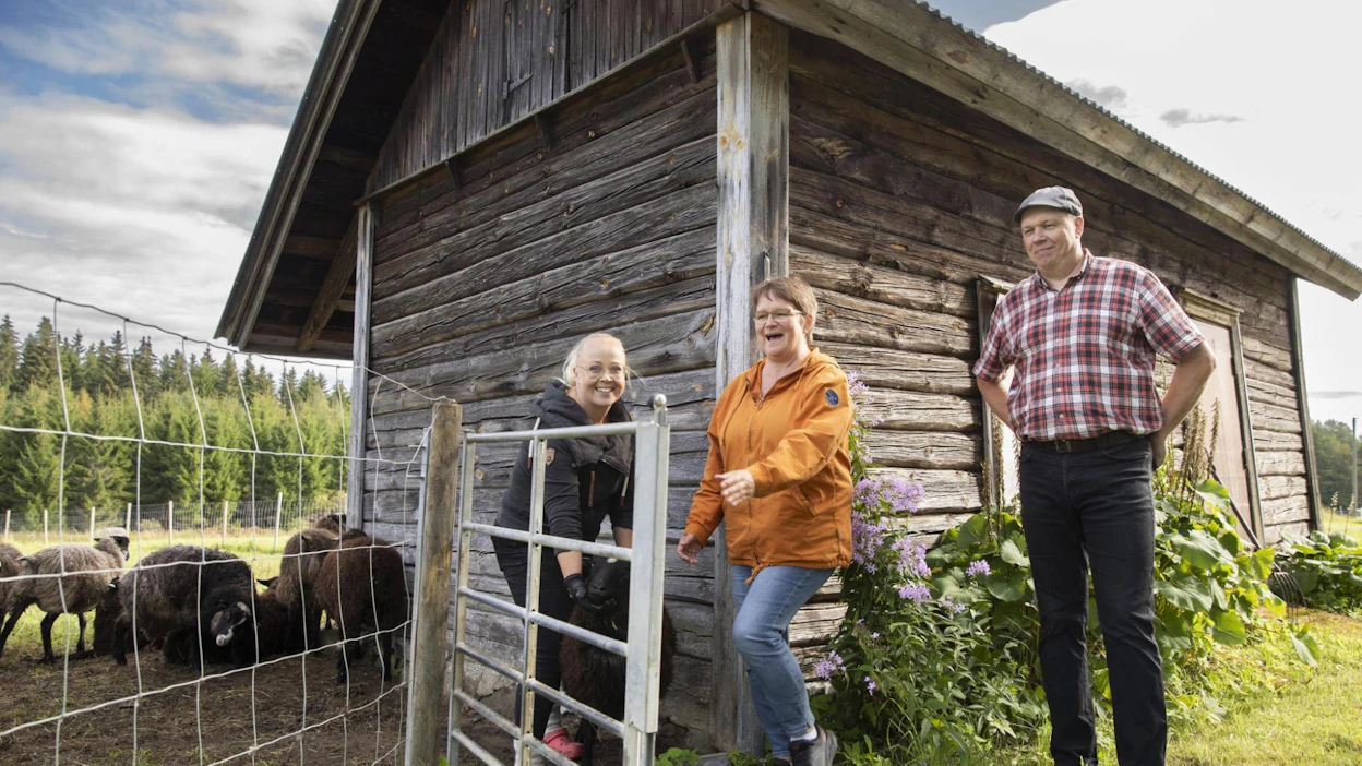 Tiina Hirvonen (vas.) on Soinilanmäen tilan yrittäjä ja tapahtuman pääorganisaattori. Susanna Nuutinen ja Simo Havia ovat aktiiveja Suur-Savon lampurit -yhdistyksessä, joka myös osallistuu Elonkorjuu Etkojen järjestämiseen.