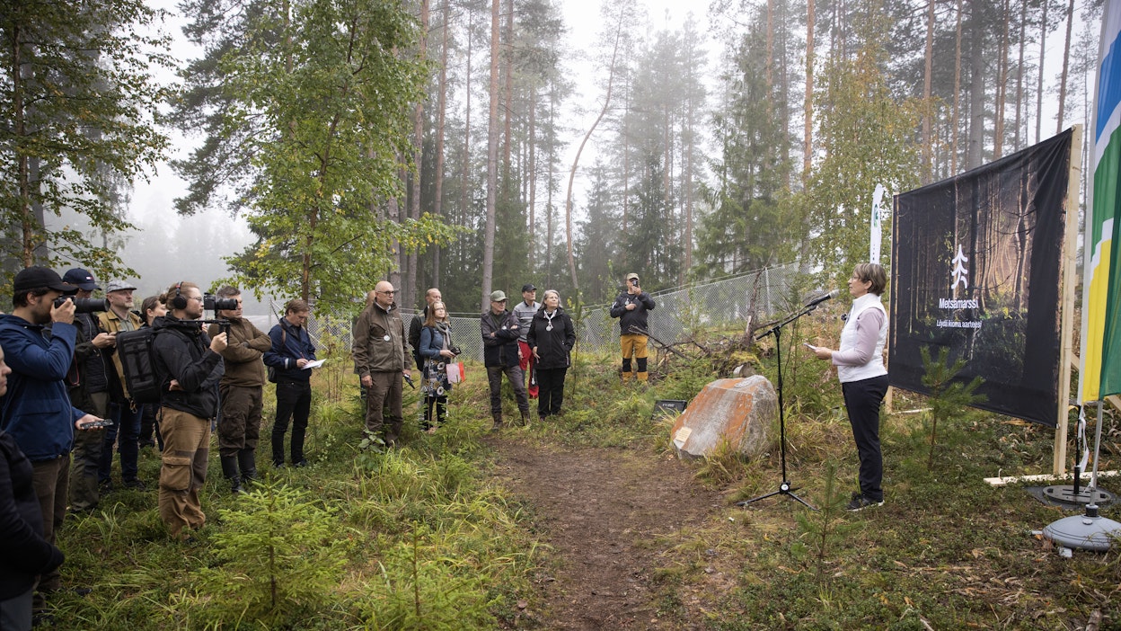 Metsämarssi liikutti ihmisiä ympäri Suomen metsän asialla. Avajaisissa paikalla oli maa- ja metsätalousministeri Sari Essayah (kd.).