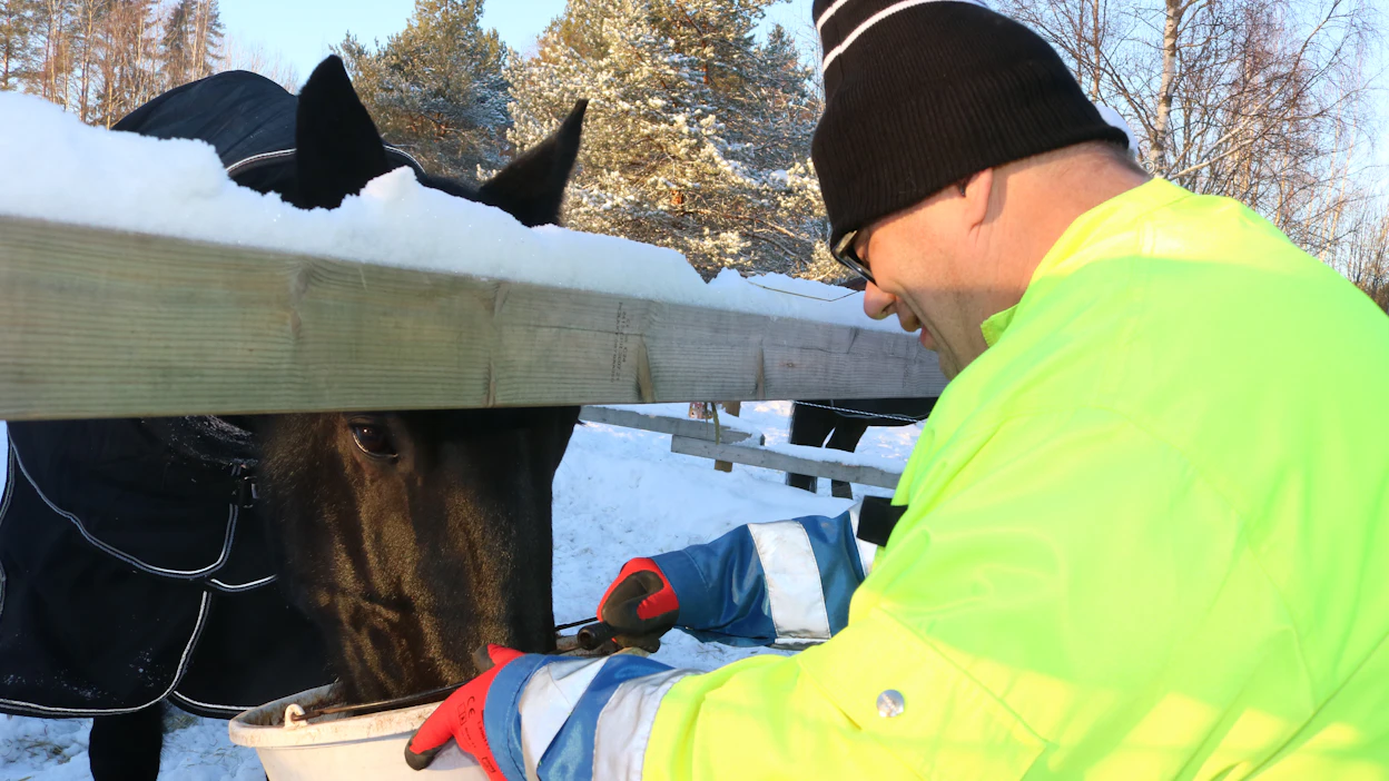 Eläinavusteisen toiminnan hyvinvointivaikutukset ovat Kehistysvammaliiton mukaan tunnetusti mittavat. Kuvassa Vili Södervik työskentelemässä tallilla.