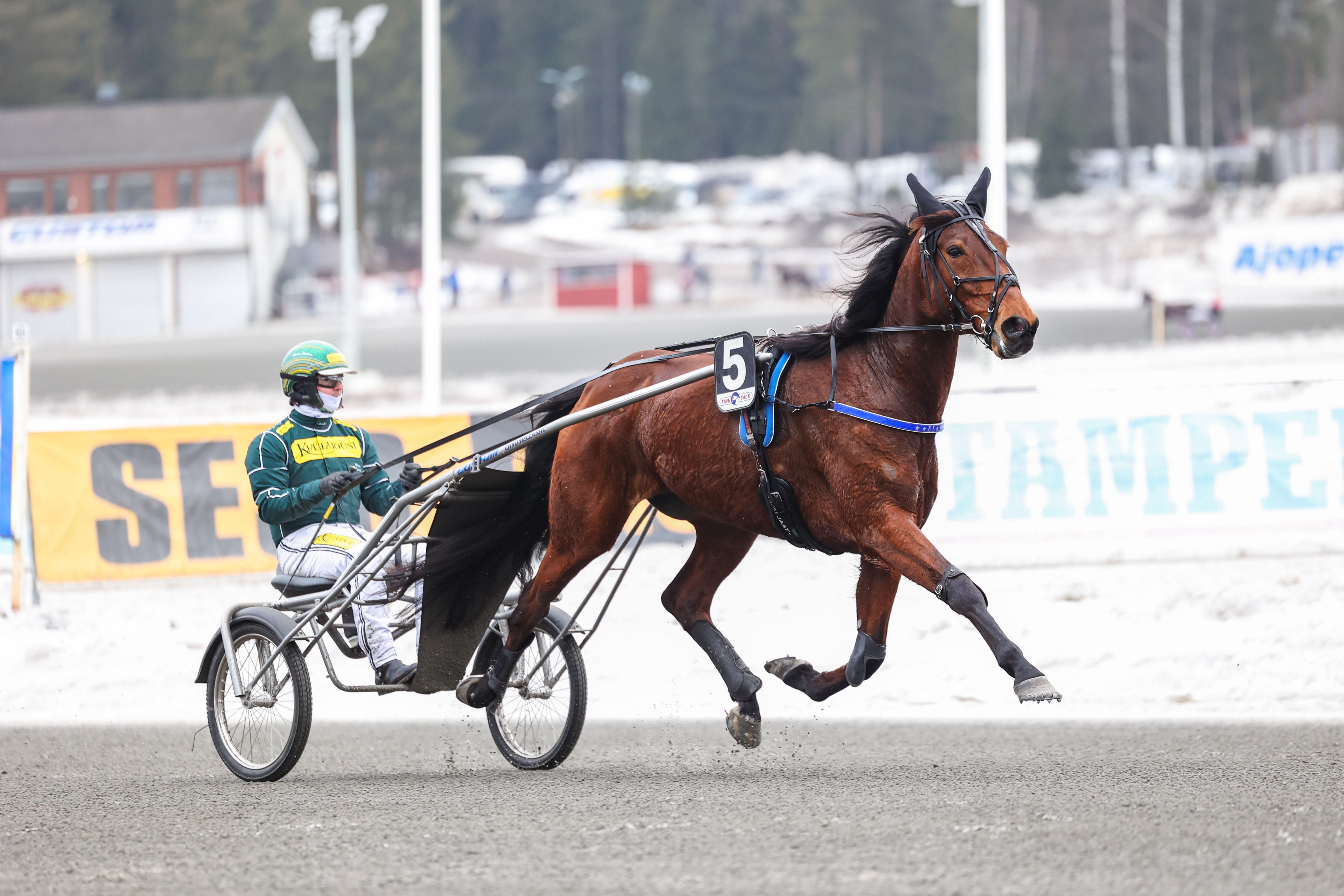 EL Indeed oli hopeadivisioonafinaalin paras. Lämmityskuvassa hevosta ohjasti startin tavoin Hannu Torvinen.
