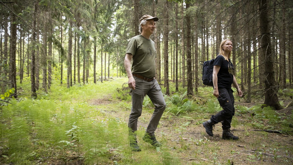 Tapion metsäbiologi ja johtava asiantuntija Lauri Saaristo ja WWF:n johtava metsäasiantuntija Mai Suominen pitävät talousmetsien luonnonhoitoa tärkeänä uhanalaisten lajien kannalta. Kuusikko on aikanaan istutettu pellolle, ja sen ympäristö on vielä köyhä.