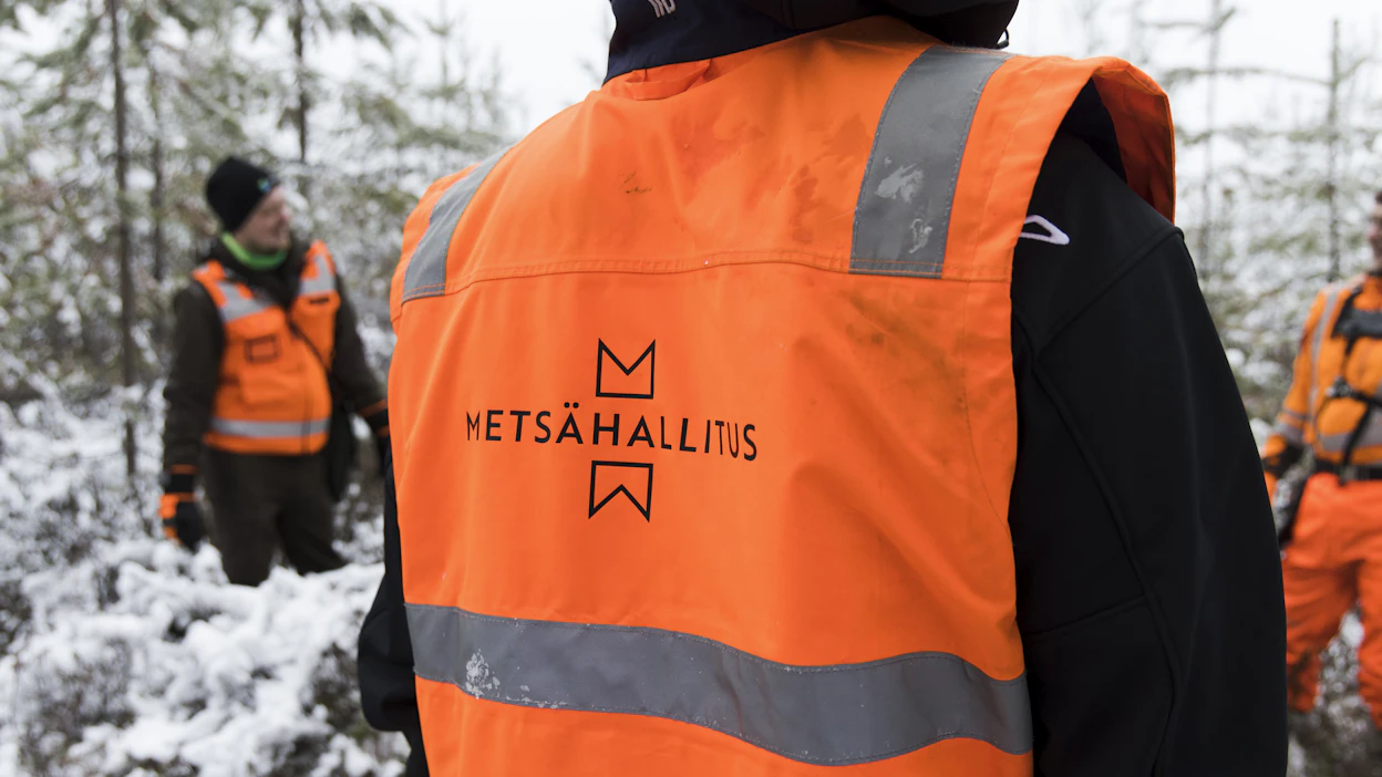 Metsähallituksen tuloutustavoite valtiolle kasvaa 20 miljoonaa euroa seuraavien neljän vuoden aikana.