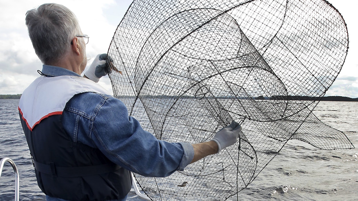 Katiskalla saa helposti pyydystettyä soppakalat.