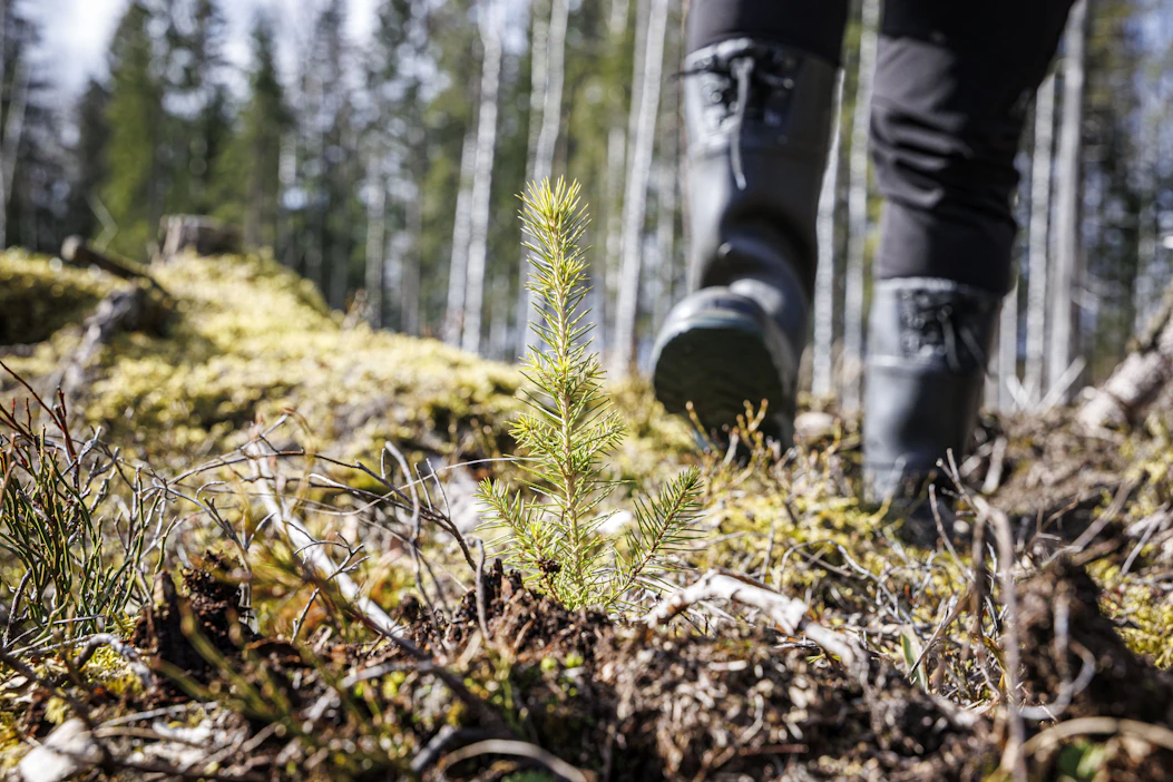 Uudellamaalla pellon arvo on enää 1,3-kertainen metsämaahan verrattuna, kirjoittaa Jarmo Keskinen blogissaan.