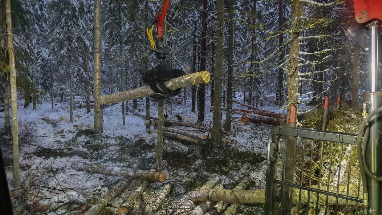 Tiukemmilla pitopuilla voi joutua tekemään pienen painatuksen alaspäin tai retkauttamaan varovasti nosturilla. Se yleensä riittää katkaisemaan pitopuun, tai jopa molemmat. Maltti on valttia tässäkin, että pölkyt eivät sinkoile traktoria kohden.