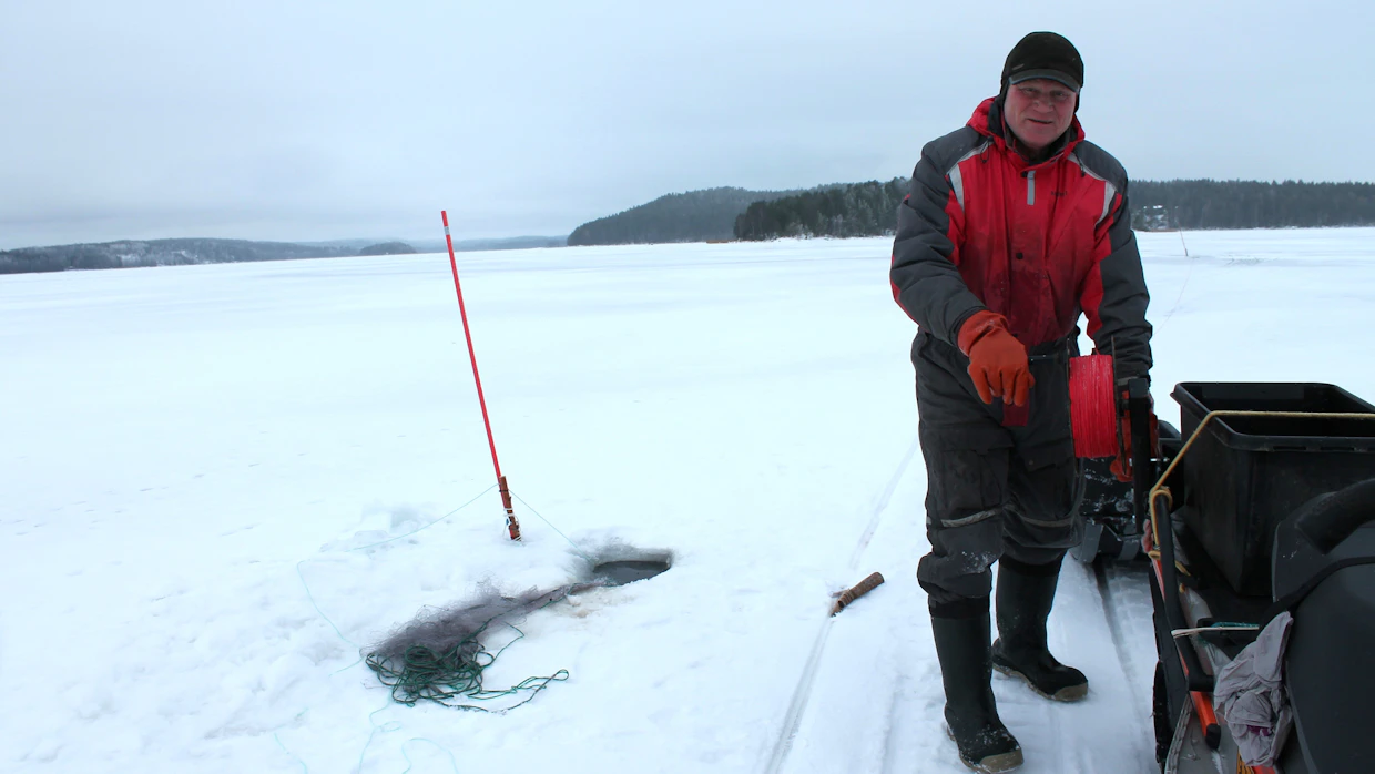 Päijänteen äärellä asumisen ja siellä kalastajana työskentelemisen Leppänen kokee kuin paratiisissa elämiseksi.