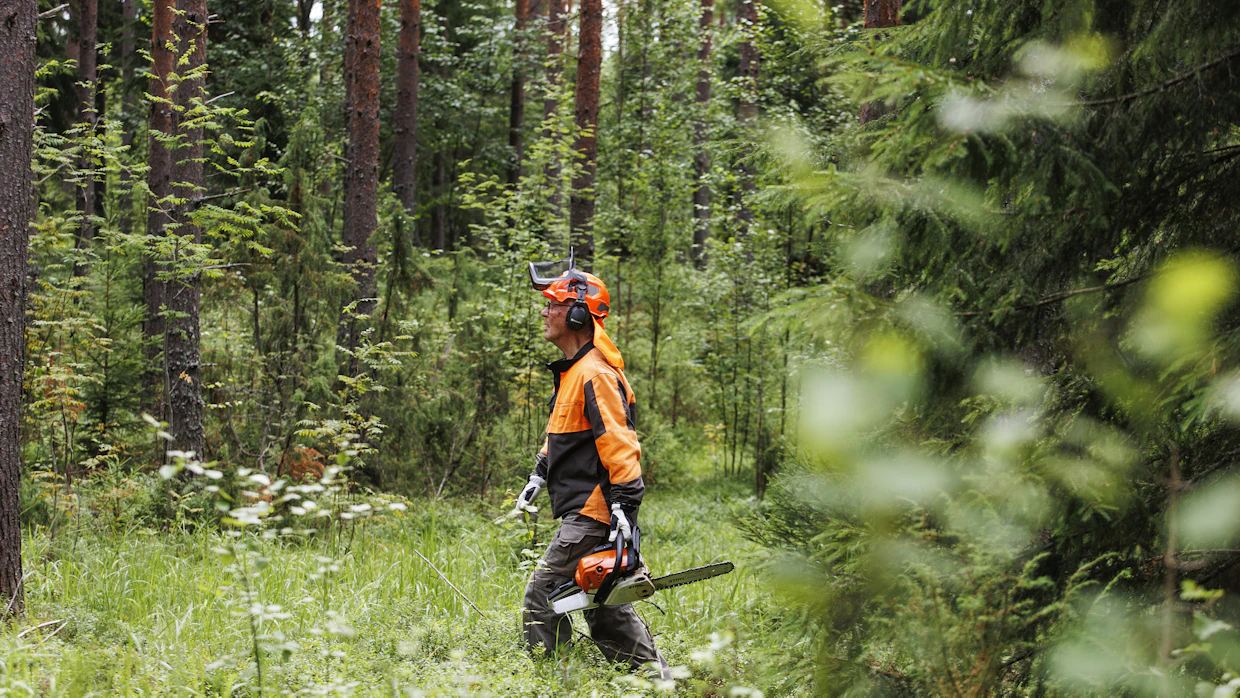 Vuorisella on lähes 70 vuoden kokemus metsätöistä. Nykyään eläkkeellä oleva pappi hoitaa harrastuksekseen lastensa metsiä.