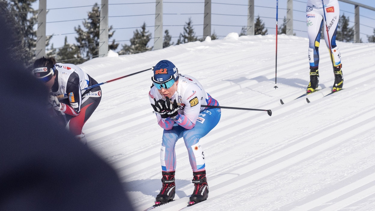 Hiihtäjät ladulla. Kuvituskuva.