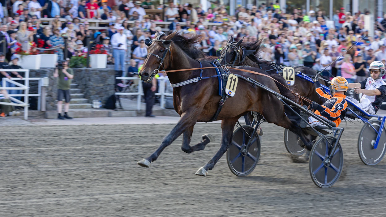 Tommi Kylliäinen sai tuulettaa rauhassa Diamond Truppon voittoa viime sunnuntaina Teivossa ajetussa kultadivisioona-lähdössä.