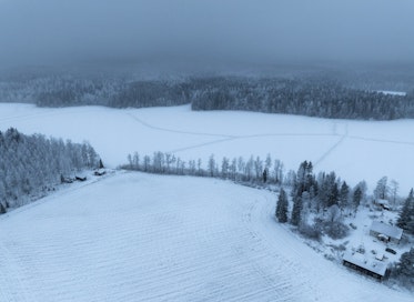 Ilmastonmuutoksen hillitsemiseksi ei riitä, että sidomme hiilidioksidia kasvillisuuteen, vaan sitä on myös poistettava teknisesti ilmakehästä. 